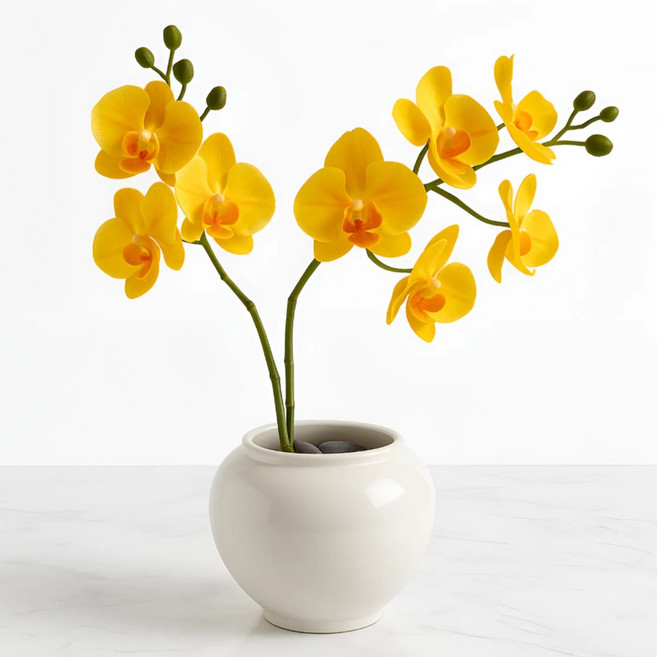 랑마르쉐 골드킹 쌍대 호접란 조화, 1개, 옐로우