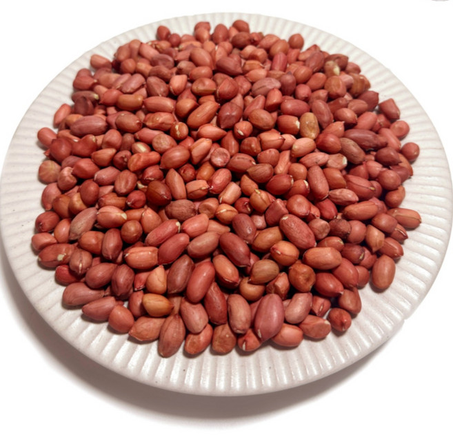 빨간 생땅콩 1kg 2kg 5kg / 작은 알땅콩 레드땅콩 적땅콩 미니땅콩 견과류, 1개