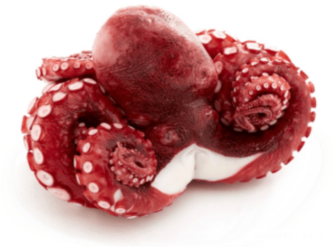 세척 손질 자숙 문어 필리핀 문어숙회 제수용, 1개, 약 900g