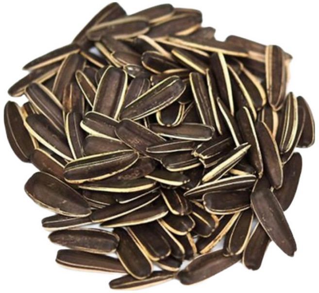 [당일배송] 세척 볶음 왕 해바라기씨 대형 해씨 햄스터 앵무새 간식, 100g, 1개