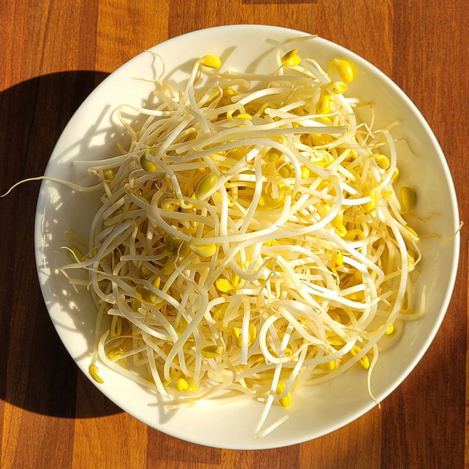 국내산 무농약 친환경 콩나물 대용량, 1박스, 1kg