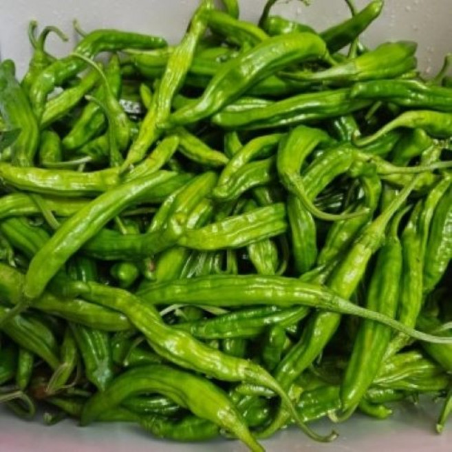 싱글벙글 안매운 꽈리고추 200g, 1개, 200g 내외