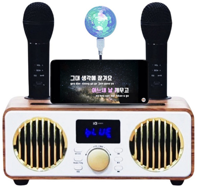 에디토 가정용 블루투스 무선충전 듀얼마이크 노래방 명품스피커 휴대용 노래방기계 홈파티 팬션 차박, NBF9/SW9000
