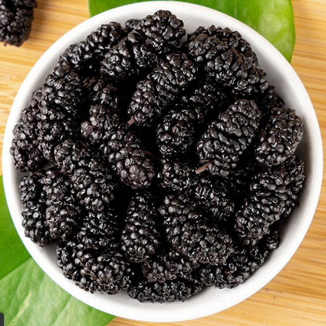 [청정산지] 국산 프리미엄 급속냉동 토종오디, 1박스, 2kg (특품)