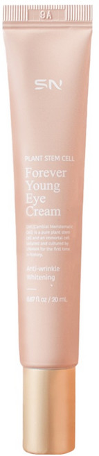 SN 에스엔 주름개선 줄기세포배양액 포에버영 아이백 아이크림 20ml, 1개