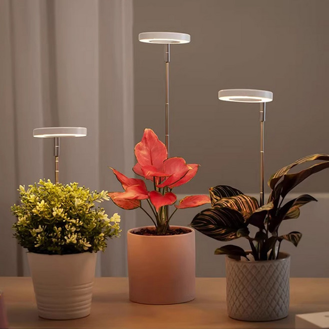 led 조명 스탠드 식물등 식물 성장 등 온실 자바라 생장등 램프 형 전구 성장등 원예 다육 용 스텐드 바 햇빛 정원 추천 재배기 재배등, R99662P(개화타입, 1세트