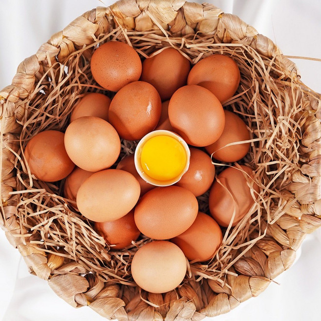 전라도청년 자연방사 무항생제 난각번호1번 유정란, 20구, 3개