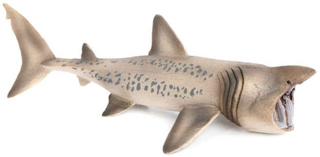 제트피규어 돌묵 상어 장난감 바다 해양 동물 생물 모형 피규어, 1개