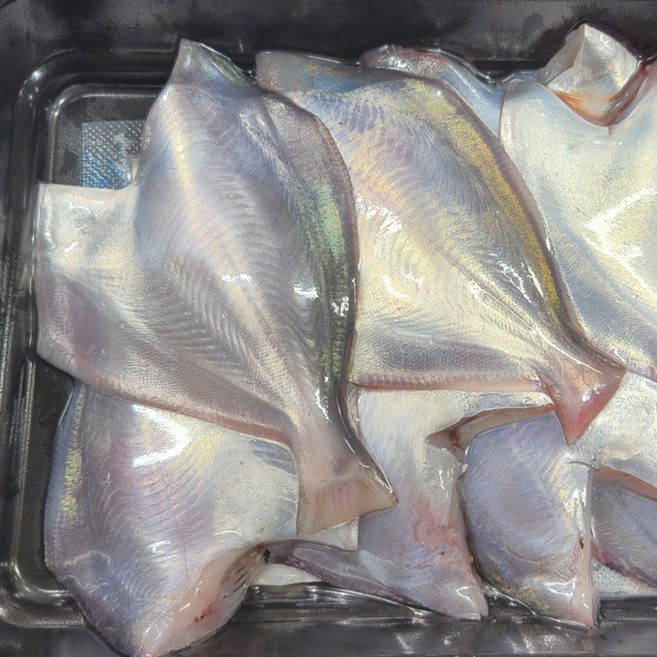 굿씨푸드 당일조업 자연산횟감용병어500g 병어회 생물병어, 1개, 횟감용자연산병어500g