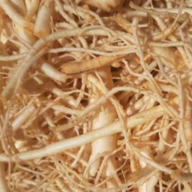 대용량 인삼뿌리 1kg 미삼 세척인삼 잔뿌리인삼 1kg, 1개