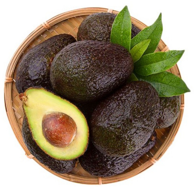 바로먹는 최상급 후숙 아보카도 중소과, 1개, 1.5kg (10과)