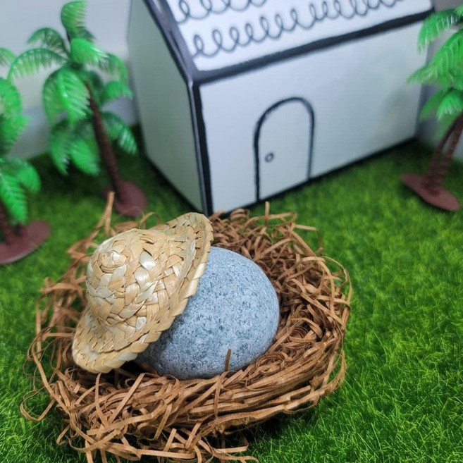 애완돌 pet rock 드림스톤 Dream stone [미우새] 반려돌 돌키우기, 1개