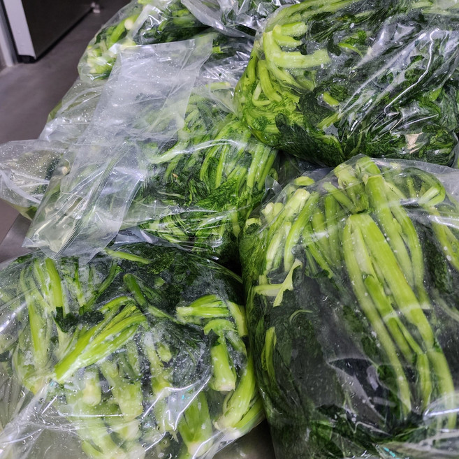 국내산 해풍맞은 여수 돌산 절임갓 제철 산지직송 5kg 1개, 1박스