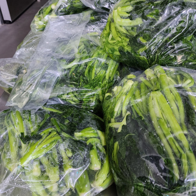 국내산 해풍맞은 여수 돌산 절임갓 제철 산지직송 5kg 1개, 1박스, 10kg
