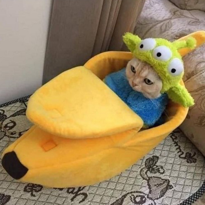 [홍스비]고양이 강아지 바나나침대 숨숨집 하우스 방석 쿠션 고양이집 강아지집, 1개, 고양이 바나나하우스(옐로우S)