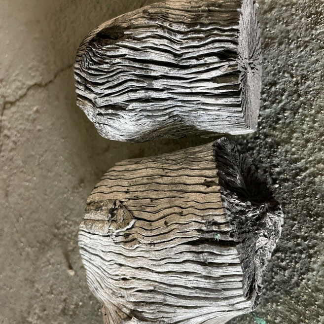 웨버 차콜 브리켓 숯, 5kg, 2개