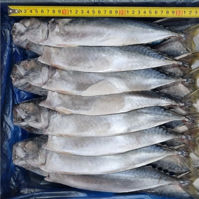 무진물산 국산 자반 간고등어 업소용 대용량 벌크, 16개, 750g 특대