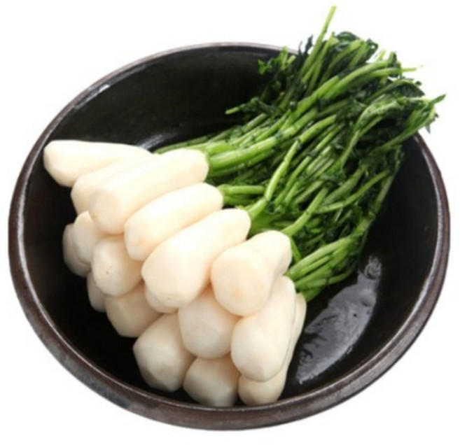 해남화원농협 이맑은김치 절임알타리(시세변동), 5kg