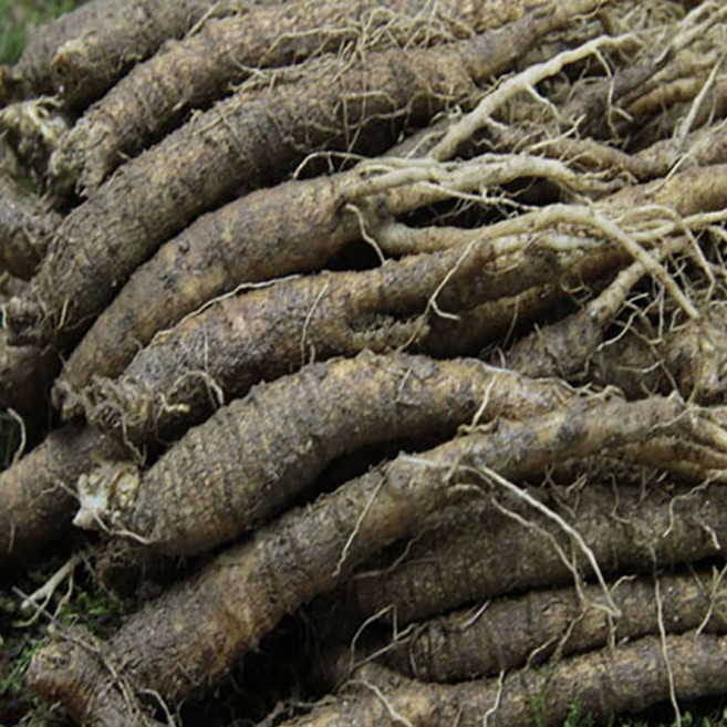 금산인삼 가정용더덕(특상)1.2kg, 1개, 가정용더덕(중)1kg