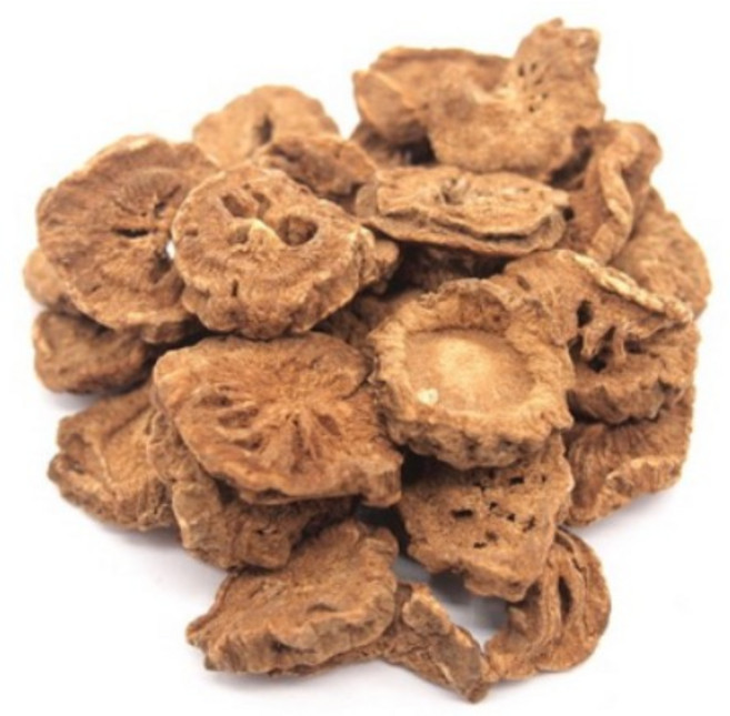 국내산 볶은 우엉차 원물 500g, 1개, 1개입