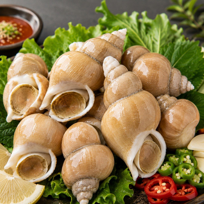 [산지직송] 동해안 당일조업 살아있는 생물 백고동 1kg (자연산 백골뱅이탕 통찜용), 1박스, 소1kg 40미