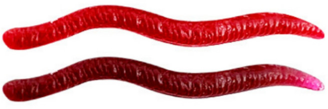 리얼세이지 가짜 지렁이 미끼, 100개, 20g