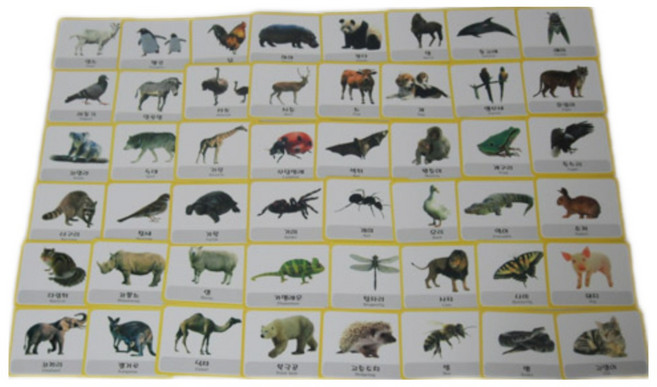 사이언쌤 동물사진카드 48장, 1개