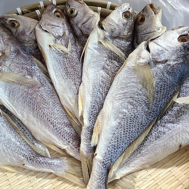 반건조 통 민어 특대 440g 속초가공 보양식 살집두툼, 1개, 특대 2200g (5미)