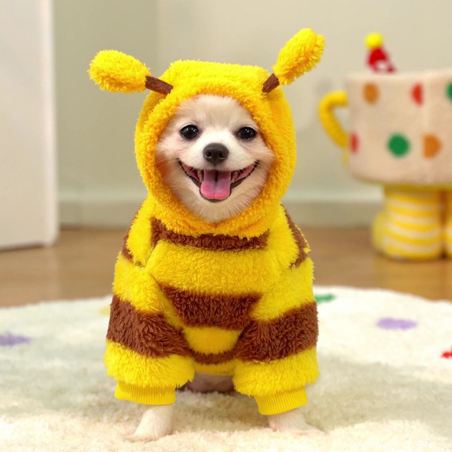 강아지 겨울옷 벌 코스튬, 1개, 꿀 모양