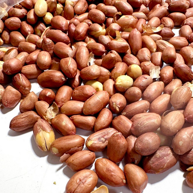 장수왕 볶음 땅콩 1등급 / 알이큰편 알땅콩 중부시장도매 견과류, 1개, 1kg