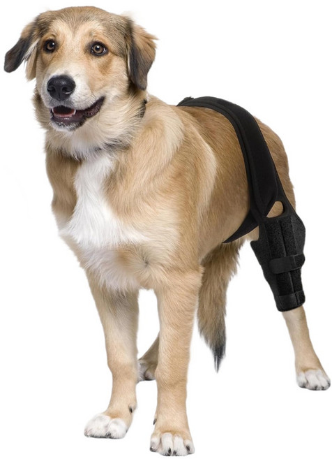 [루이/강아지 보호대] 슬개골 관절 무릎 보호대 벨크로 조절형, 1개, 133g