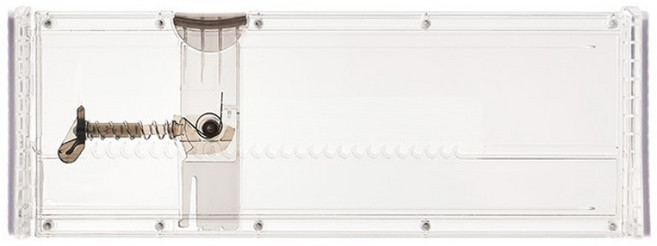 Dnc 길이조절 서랍 칸막이 파티션(와이드롱 대형 깊은서랍용), 투명, 1개