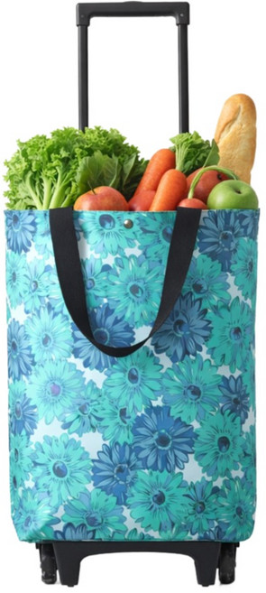 ROYAI ONE 휴대용 방수 장바구니 접이식 장바구니카트, 1개, 푸른