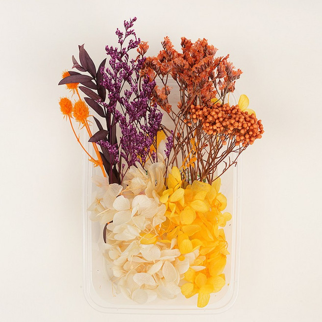 드라이 프리저브드 플라워 말린꽃 시들지 않는 꽃 프레스코21 보존화 종합팩 어텀브리즈, Cream White(크림 화이트)