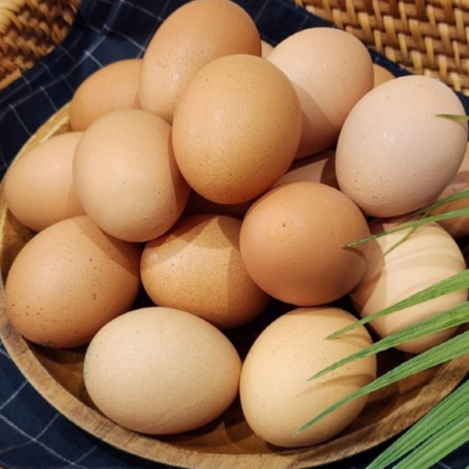 자연방사 프리미엄 계란 난각번호 2번 유정란, 1개, 40구
