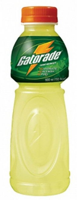 롯데칠성음료 게토레이 레몬 600ml X 20개, 롯데 게토레이 레몬 600ml 20개