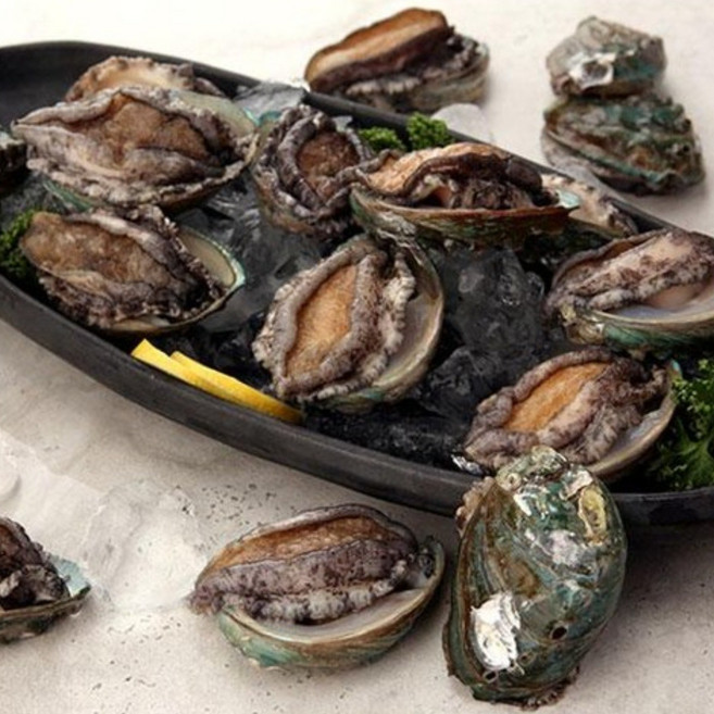 [오초록] 완도직송 완도 활 전복(대) 1kg(12~14미) / 해수 산소포장, 고급 보자기포장, 1개