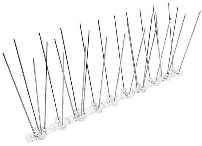 미란다 비둘기 퇴치 스파이크 10p, 42g, 1세트