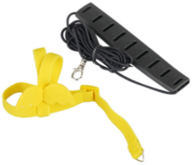 리얼세이지 앵무새 하네스 산책 리드줄, M, 옐로우, 1개