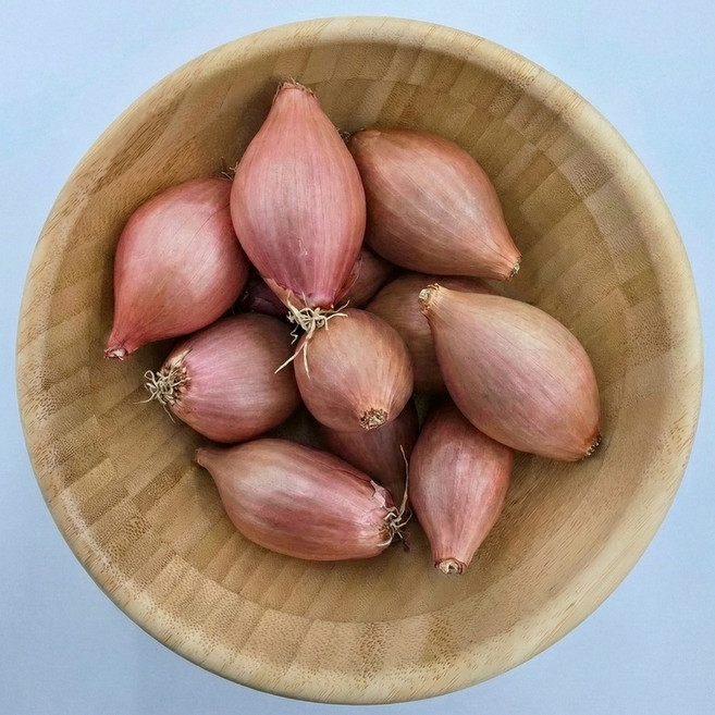 샬롯 미니양파 500g, 1세트