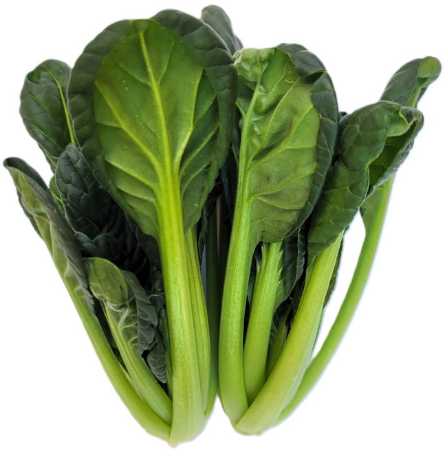 싱싱한 비타민 100g 300g 1kg, 1개, 비타민1kg