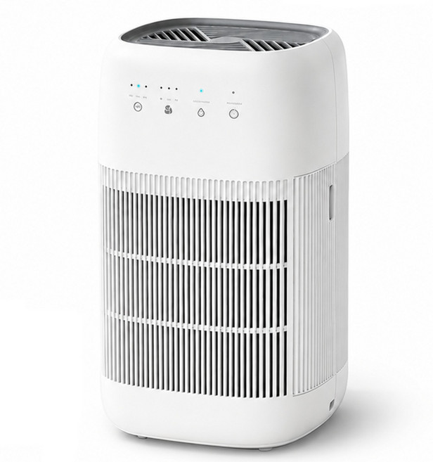 소형 제습기 750ml 대용량 2in1 공기청정 제습기 HEPA필터 초저소음 원룸 욕실 드레스룸 가정용 제습기, Q10