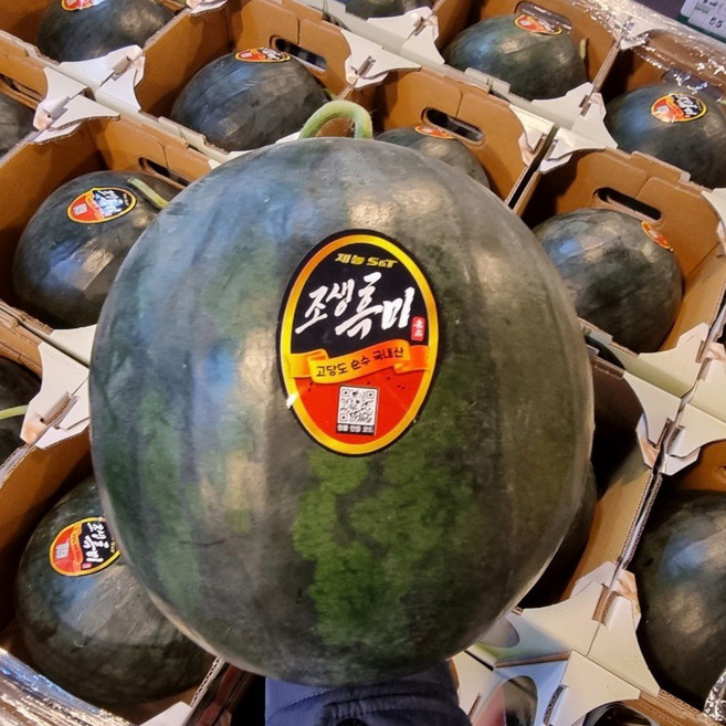 충북 음성 프리미엄 고당도 고랭지 흑수박, 1개, 5.5kg~6kg
