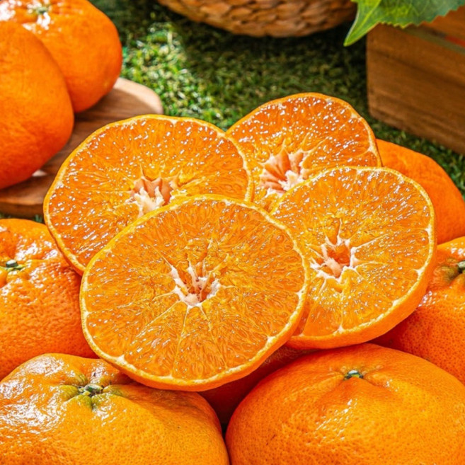 [특품] 비파괴당도선별 제주 고당도 레드향, 1박스, 2kg