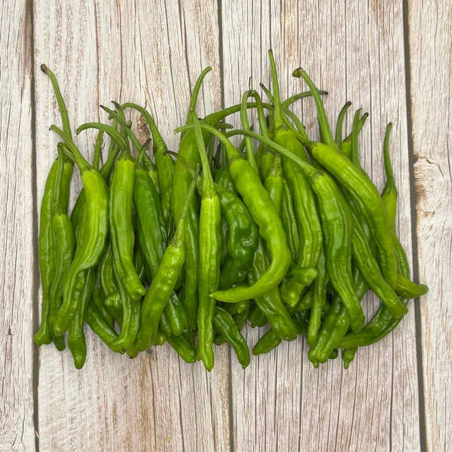 국내산 맛있는 꽈리고추 특품 1kg 2kg 3kg 4kg [노블프레쉬], 꽈리고추 (특품) 3kg, 1개