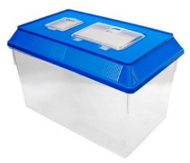 밀웜나라 채집통 소 중 대 특대 왕대, 1개