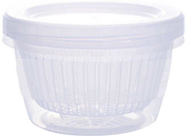 다용도 소풍 과일 보관 야채 소분 채반통 밀폐용기 500ml, 2개