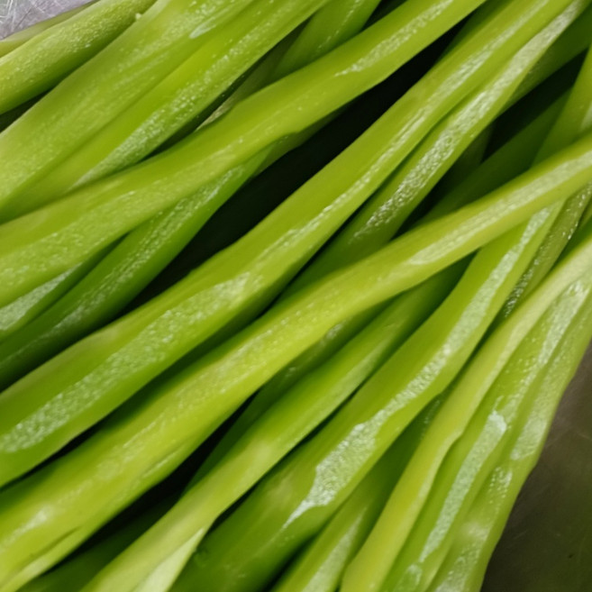 삼시세끼연구소 한달만 나오는 국산 궁채 생궁채 줄기상추, 1박스, 4kg