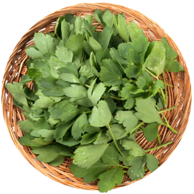 국내산 고추잎 생고추잎 고춧잎 나물 1kg, 고추잎 1kg, 1개