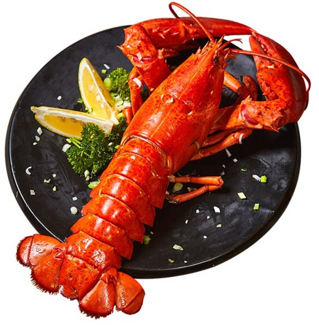 캐나다 자숙 랍스터 4.54kg 약12미(350/400) 바닷가재 랍스타, 1개